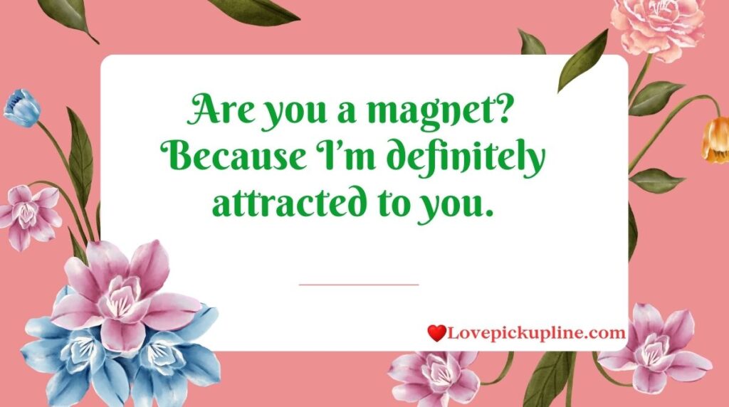 Best Magnet Pick Up Lines