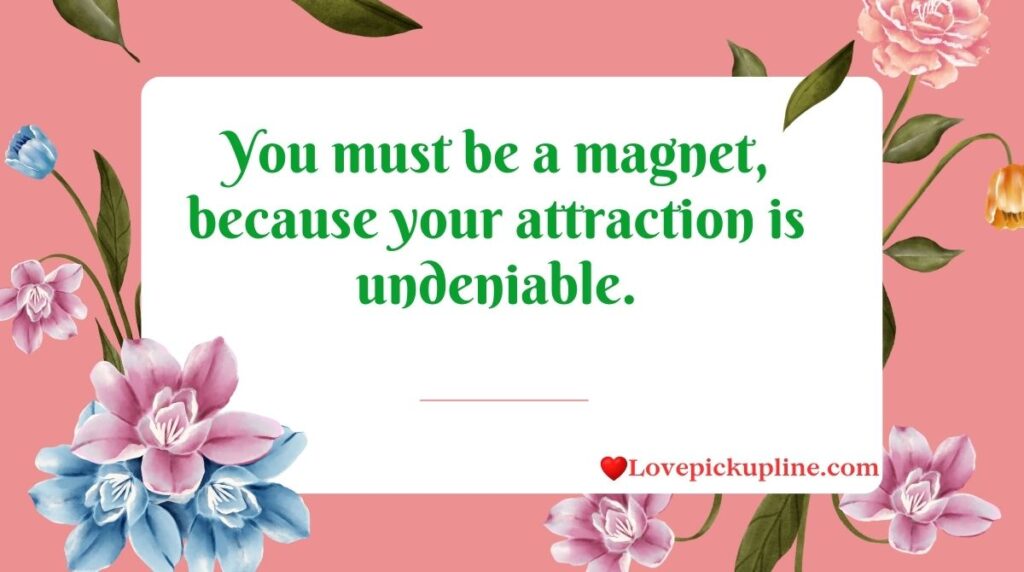 Clever Magnet Pick Up Lines