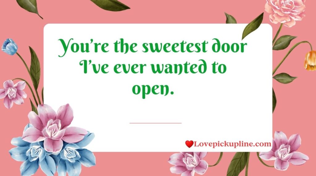 Cute Doors Pick Up Lines