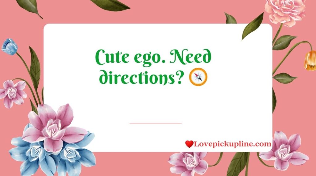 Short And Savage Burn Pick Up Lines