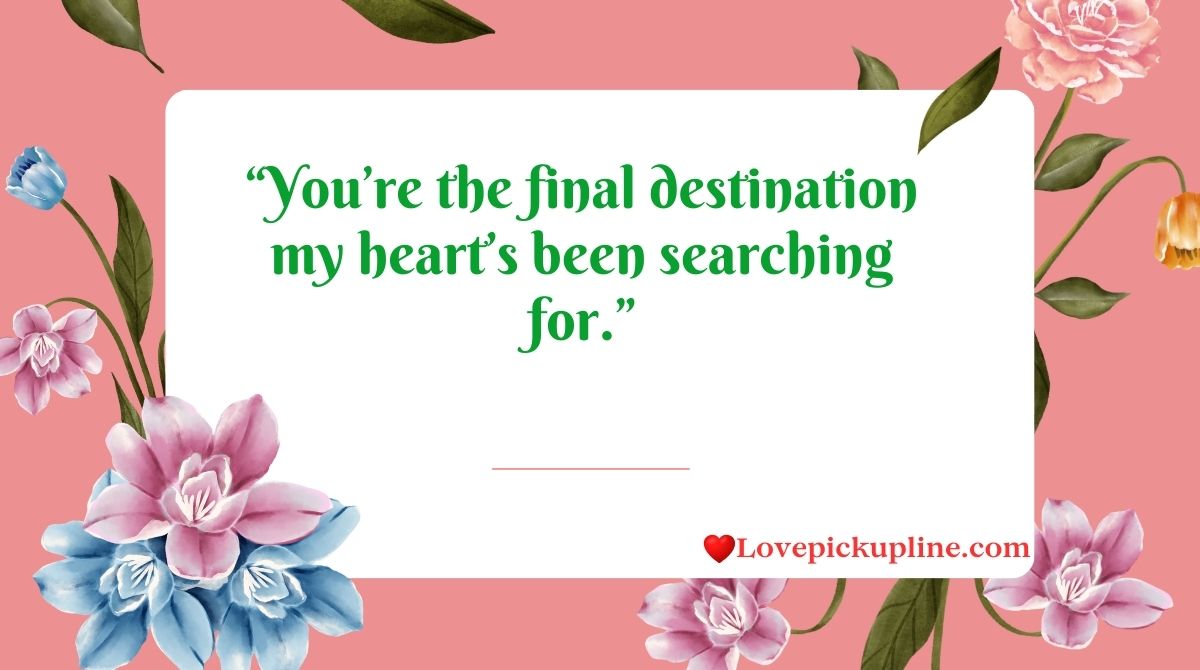 License Pick Up Lines & Rizz