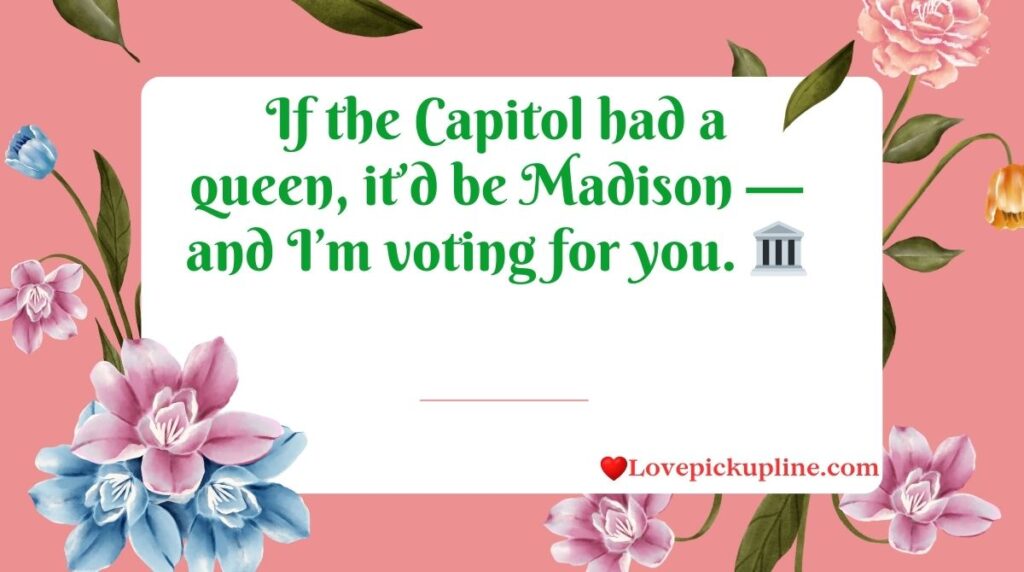 Madison Pick Up Lines Inspired by Madison WI