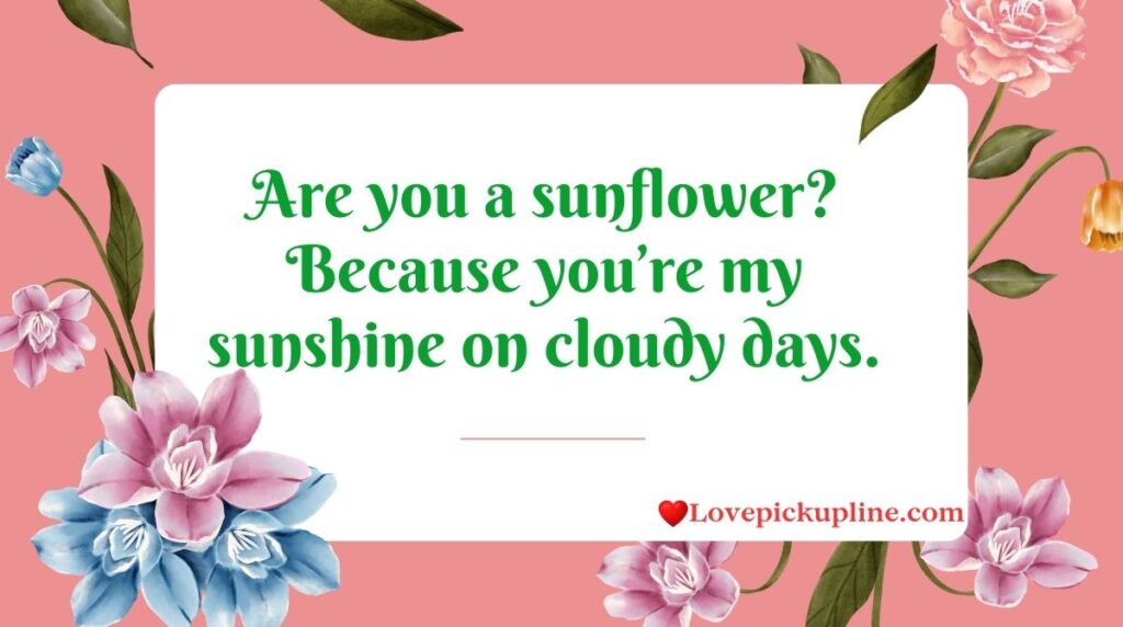 Sunflower Pick Up Lines